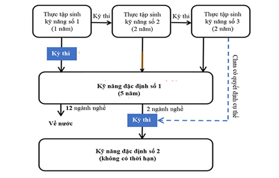 chuyển đổi visa TTS sang visa kỹ năng đặc định